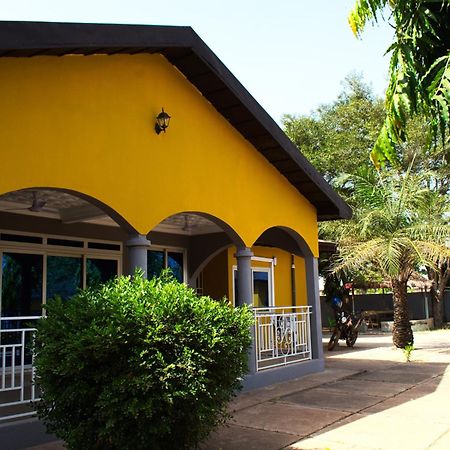 Tree House Hostel Тамале Экстерьер фото
